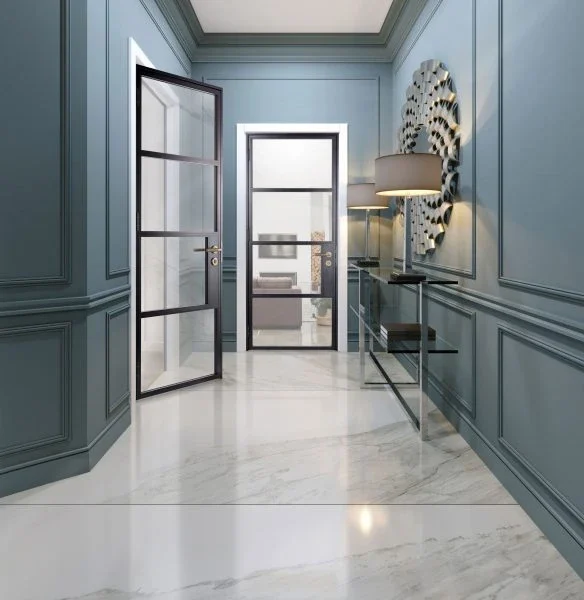 Black glazed aluminium single doors in a blue hallway